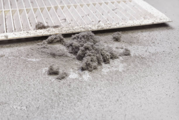 Best Ventilation Cleaning Services  in Three Oaks, FL