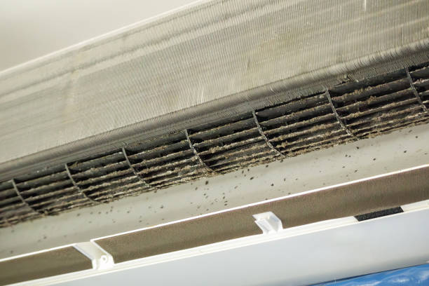 Best General Air Duct Cleaning  in Three Oaks, FL